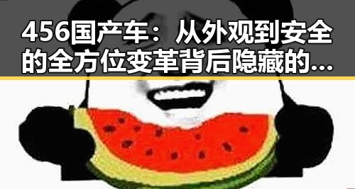 456国产车:从外观到安全的全方位变革背后隐藏的市场新机遇
